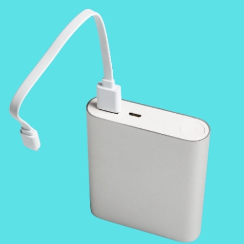 PowerBank